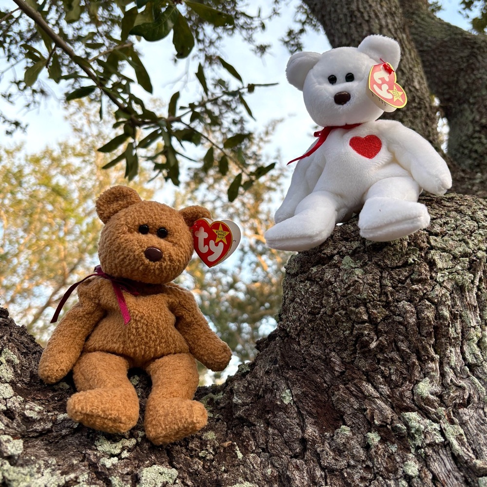 Ty Beanie Baby Valentino Curly Bear Lot Errors Brown Noses Spelling Collectible